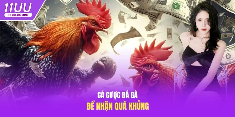 Cá cược đá gà để nhận quà khủng