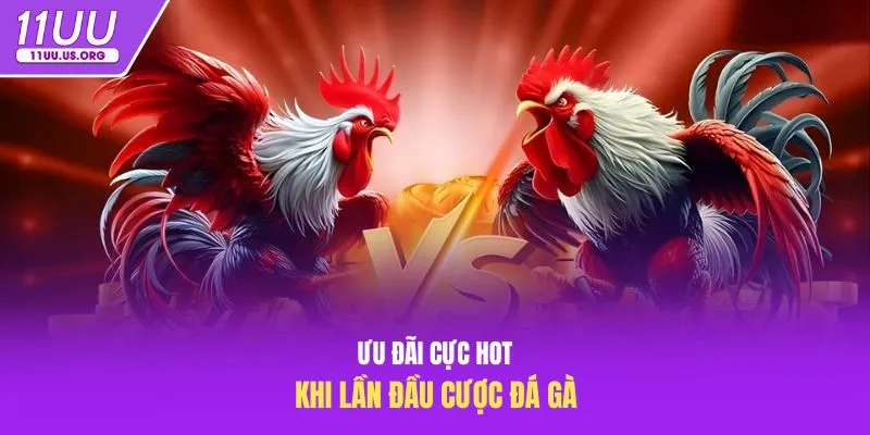 Ưu đãi cực hot khi lần đầu cược đá gà