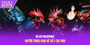đá gà philippines