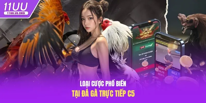 Loại cược phổ biến tại đá gà trực tiếp C5